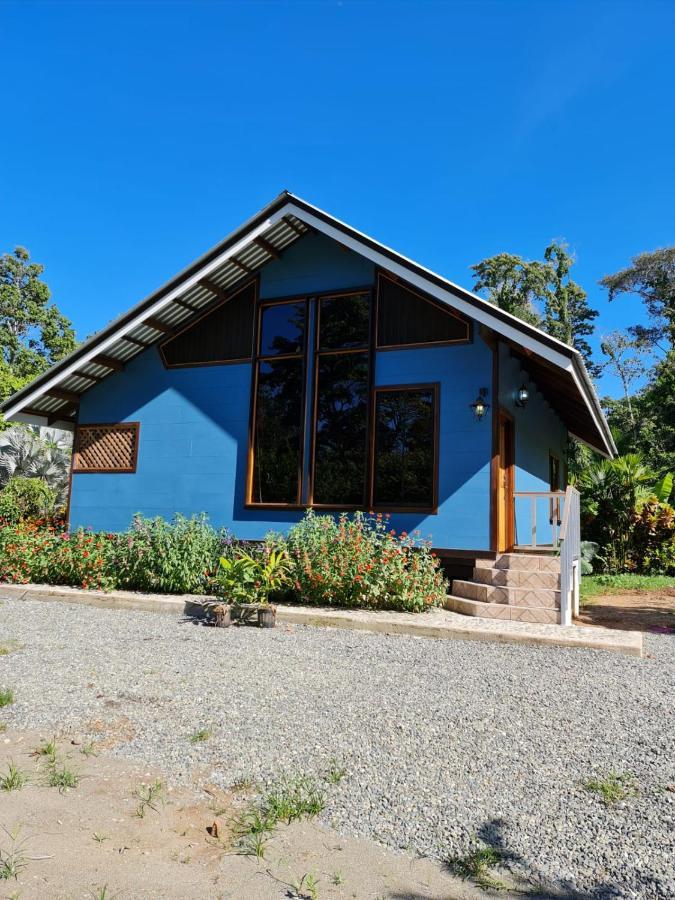 Villa Casa Numu Cahuita Exterior foto
